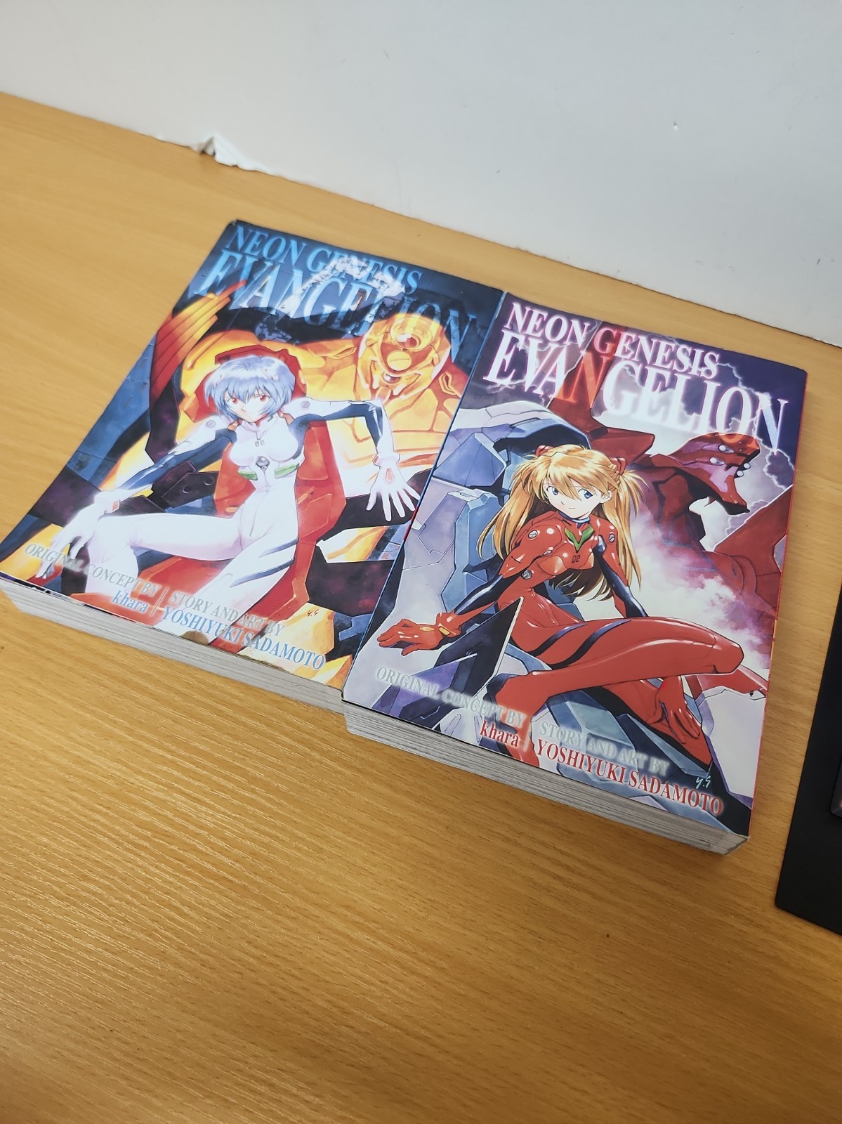 Volume 2 e 3 Neon Genesis Evangelion Book