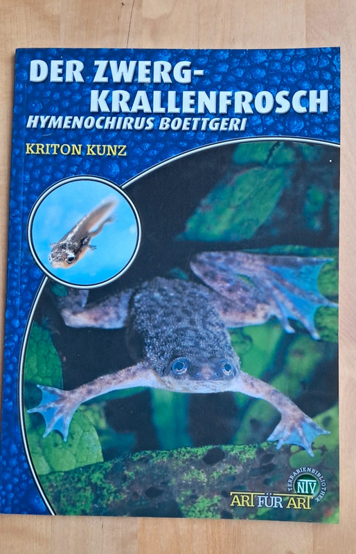 Der Zwergkrallenfrosch