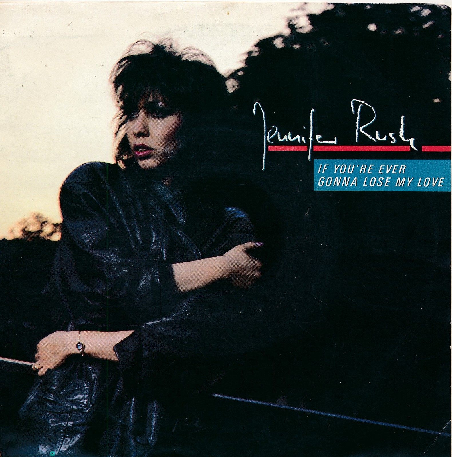If You're Ever Gonna Lose My Love - Jennifer Rush - Single 7" Vinyl 215/08