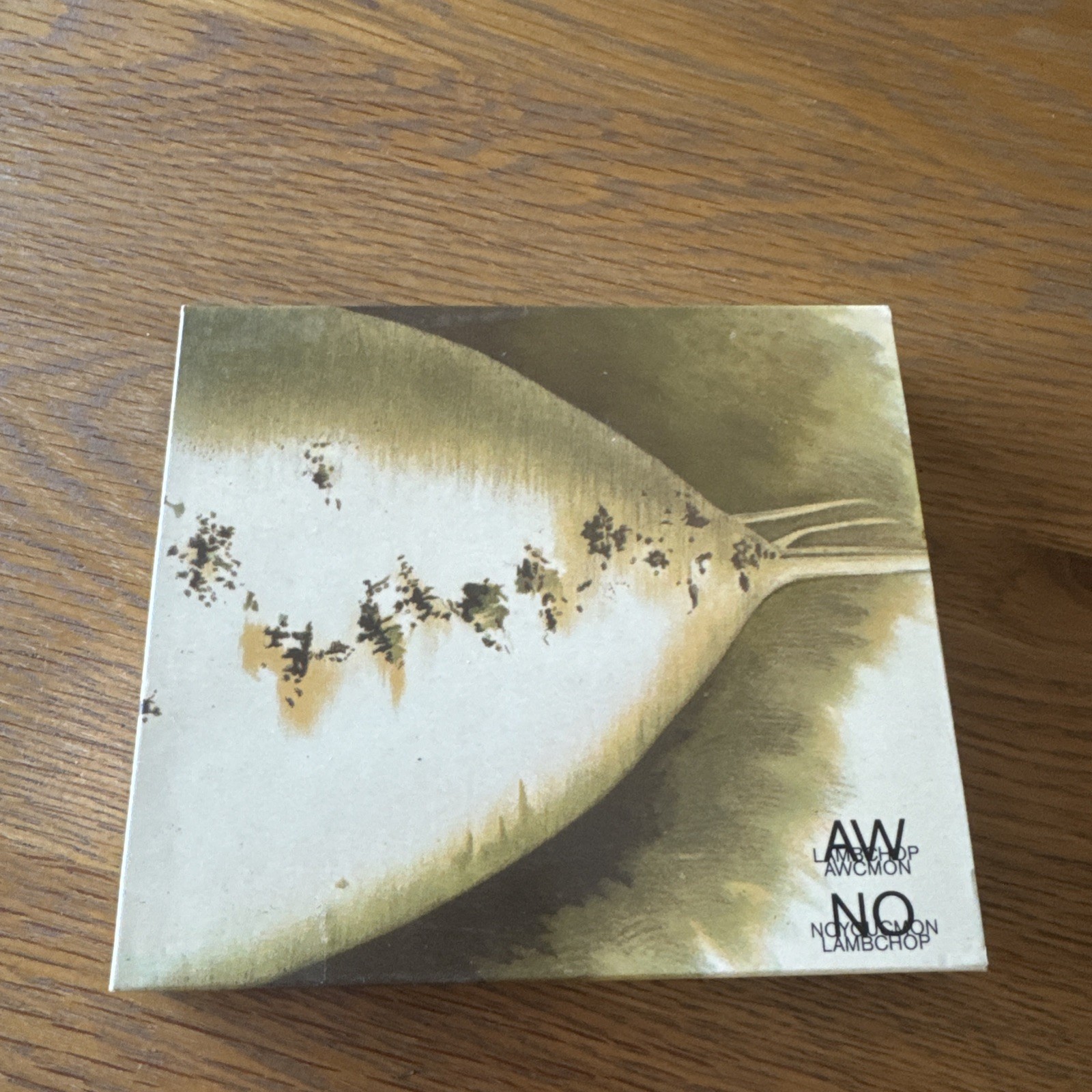 Lambchop: Aw C'mon!/no You C'mon CD’s