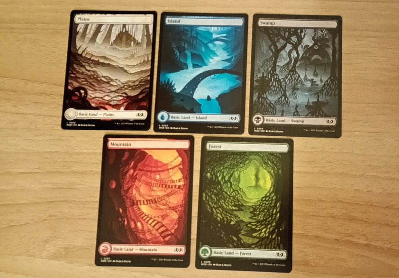 Magic the Gathering Lotto Terre Full Art Wilds of Eldraine-ENG