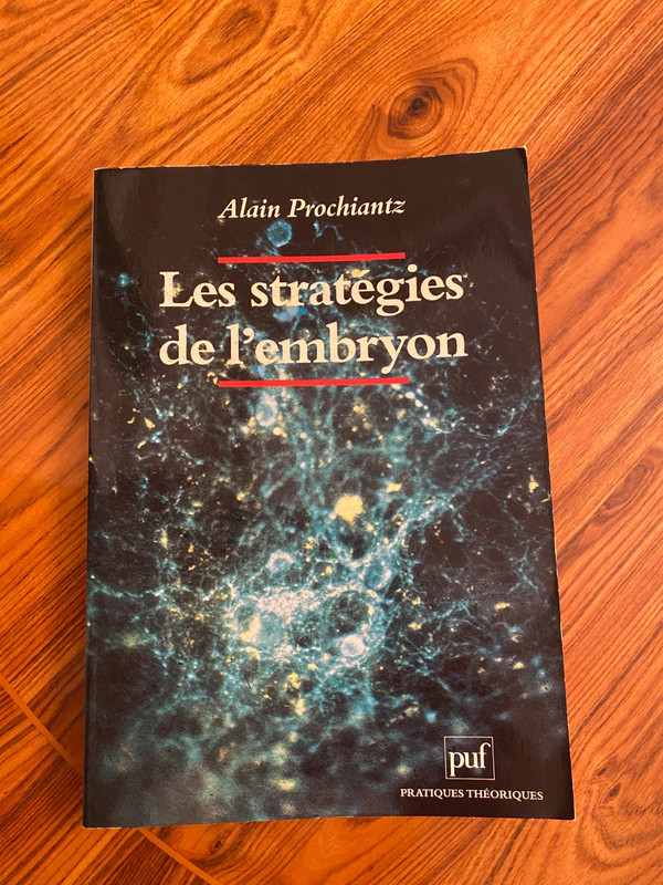 Les stratégies de l’embryon   Alain Prochaintz