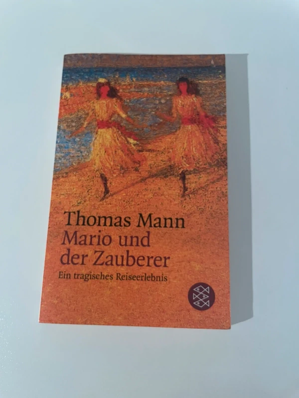 Mario und der Zauberer Buch