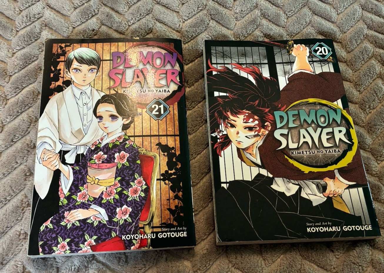 Demon Slayer Kimetsu No Yaiba 2021 USA volume 20 e 21 lotto di 2 libri