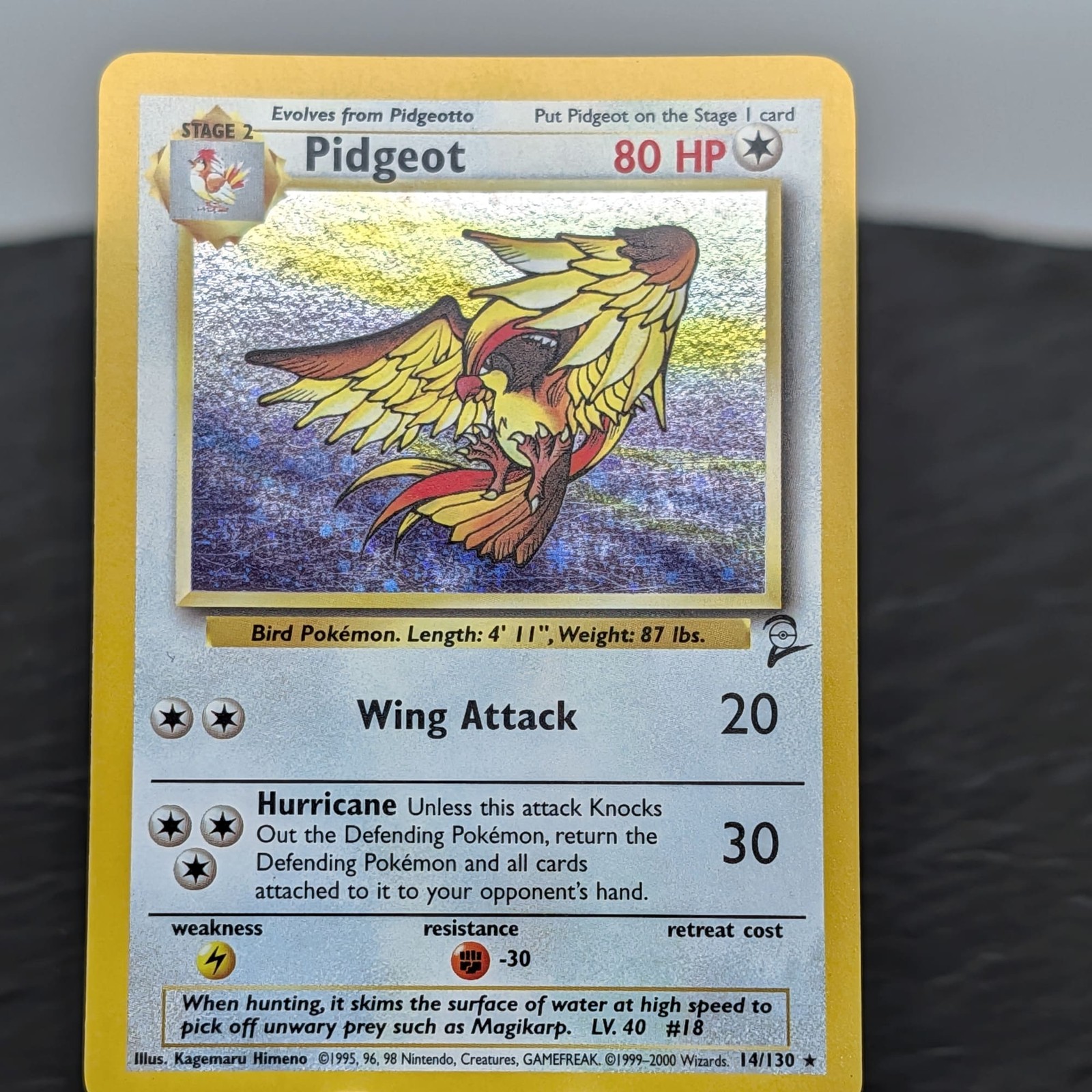 Pokemon Pidgeot Set Base 2 14/130 Holo Rara 2000 WOTC TCG Card Vintage LP✨