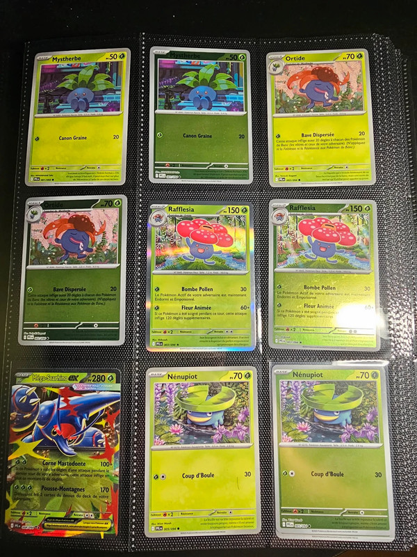 début de Master Set Pokémon Flammes Fantasmagoriques (PFL) en version française