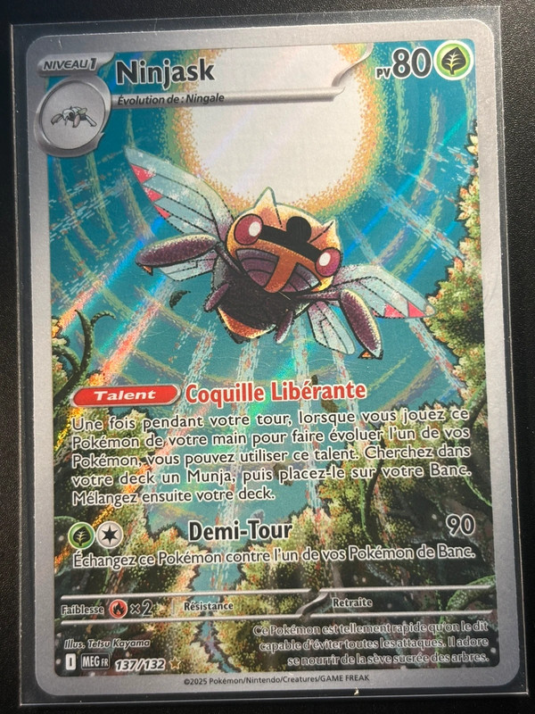 Ninjask (MEG 137) Méga-Évolution