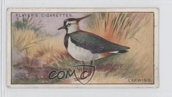 1927 Player's Game Birds and Wild Fowl Tobacco Lapwing #23 m5x