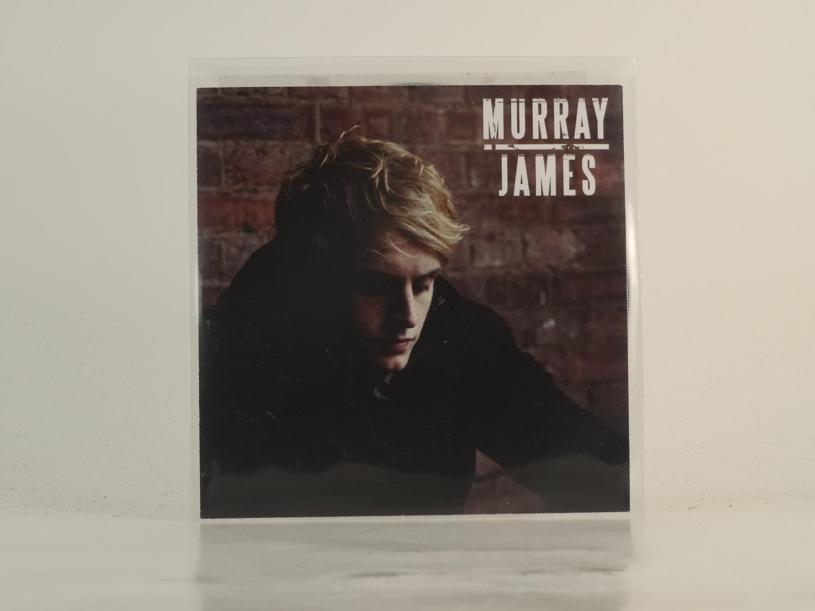 MURRAY JAMES IN THE CITY (E5) 2 Track Promo CD Single plus Picture Sleeve SONY M