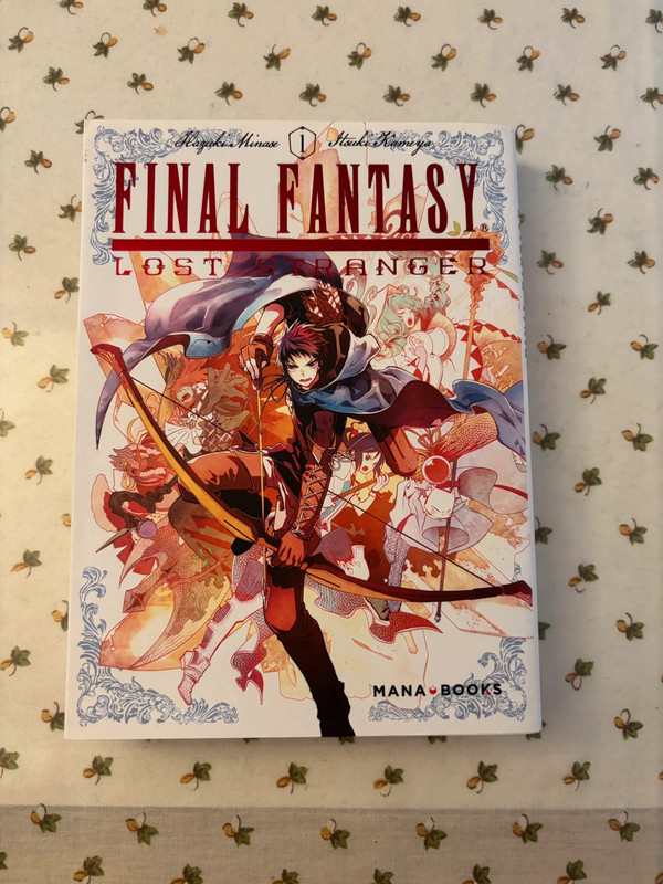 📚 Final Fantasy – Lost Stranger