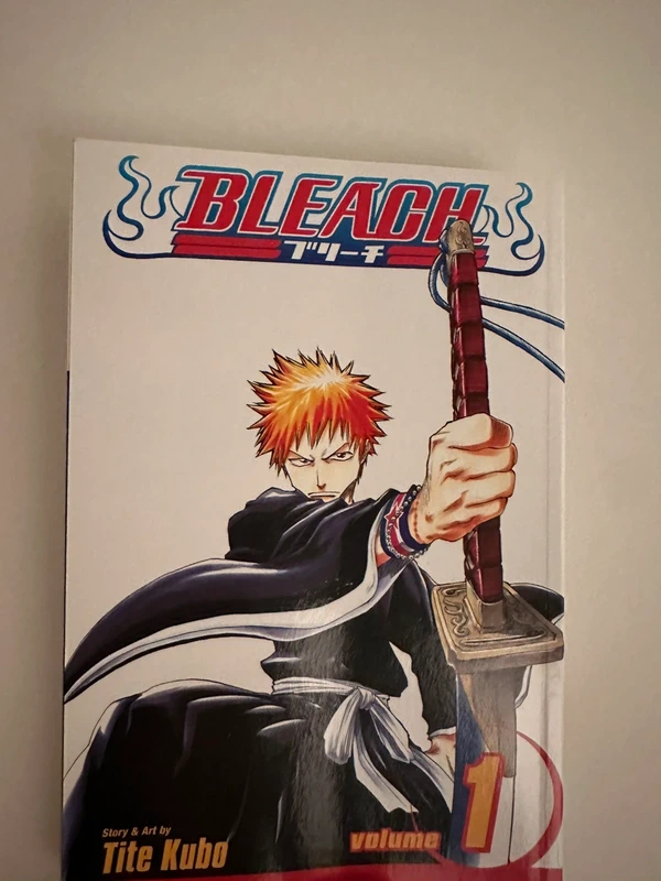 Bleach Vol 1