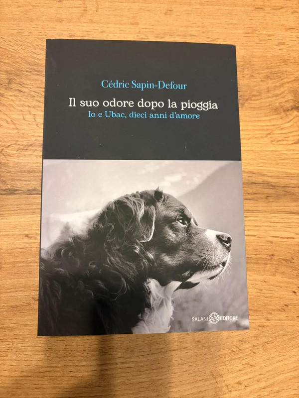 Il suo odore dopo la pioggia.
