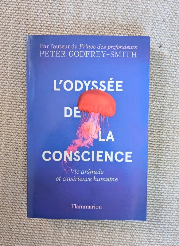 L'Odyssée de la conscience (NEUF)