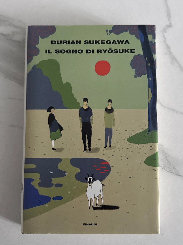 Libro “Il sogno di Ryōsuke” - D. Sukegawa