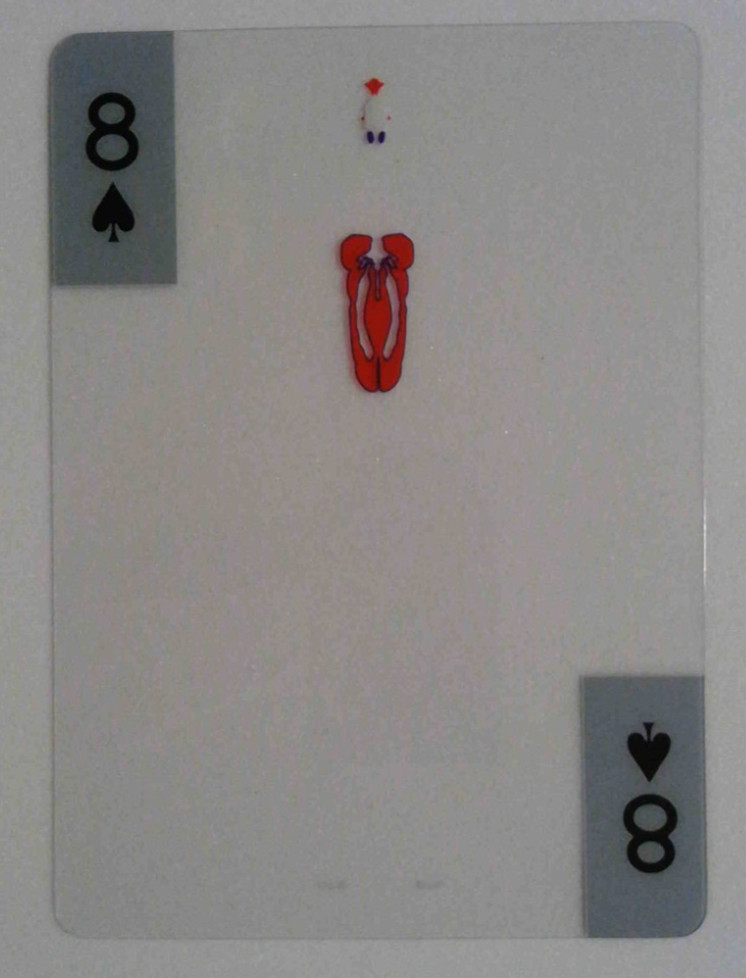 Transparent Anatomy Playing Card 8 Spades