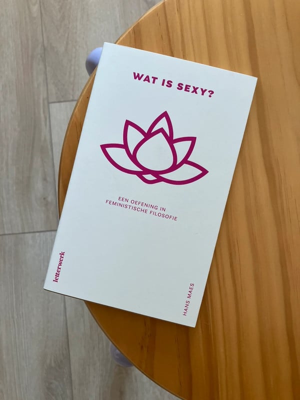 Wat is sexy? - Hans Maes