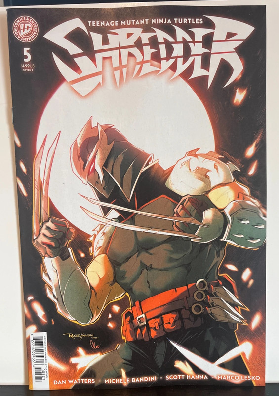 Teenage Mutant Ninja Turtles: Shredder #5 Reese Hannigan cover (IDW Publishing)
