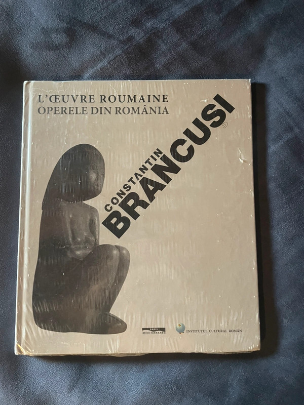 Constantin Brancusi oeuvre roumaine Operele România art book Paris mediterranea 2013