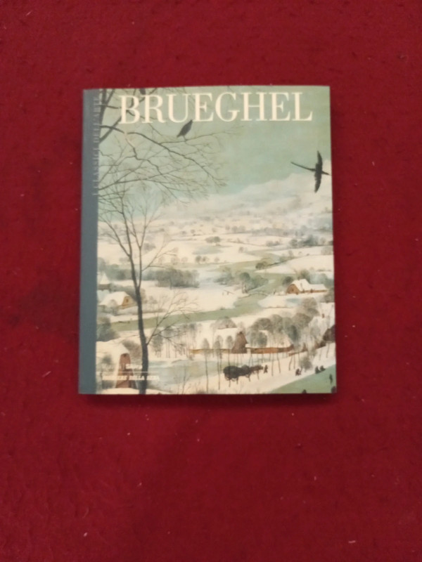 Libro Brueghel