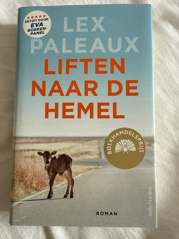 Liften naar de hemel