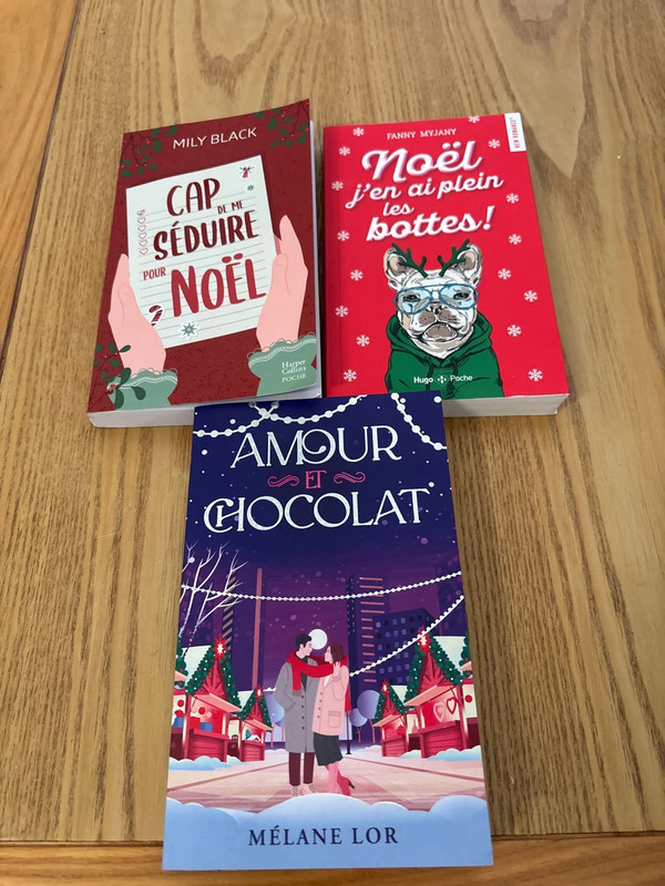 Lot livre de Noël
