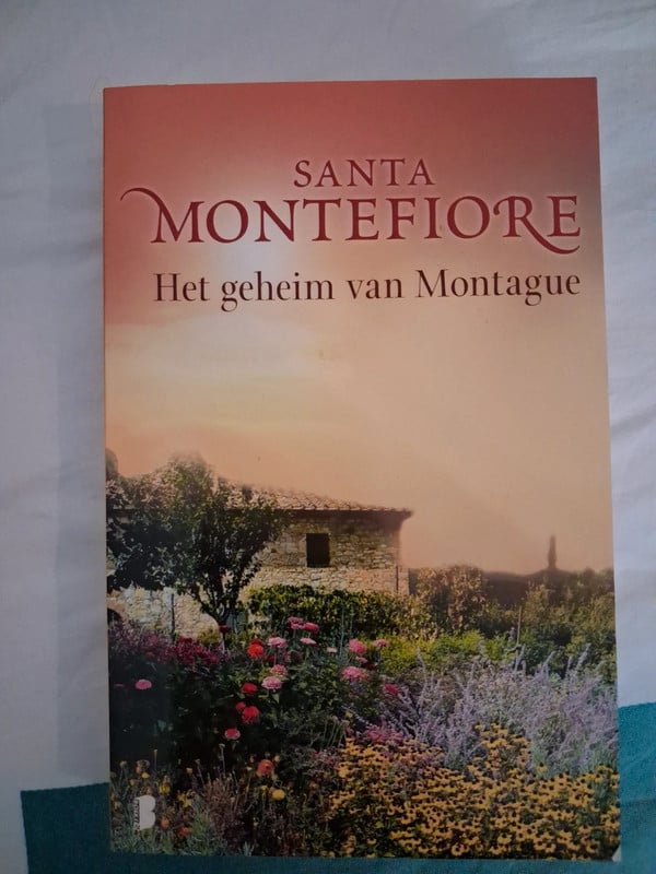 Het geheim van montague