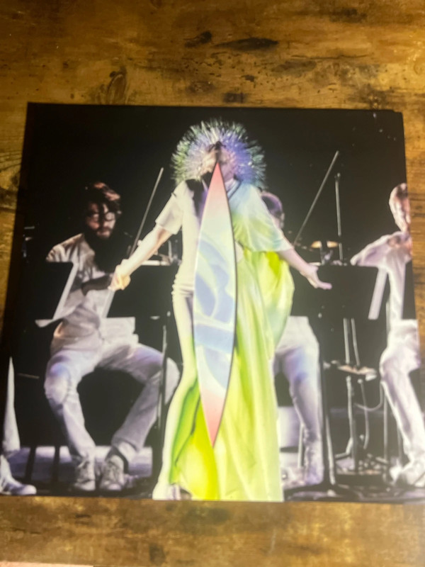 Björk / Vulnicura strings