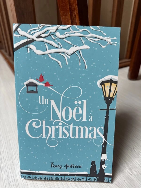 Un Noël à Christmas