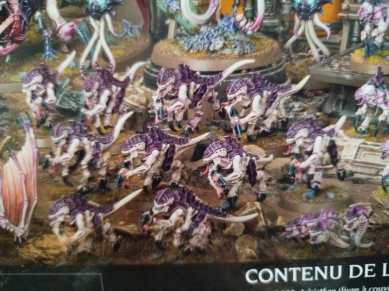 10 termagaunts tyranides