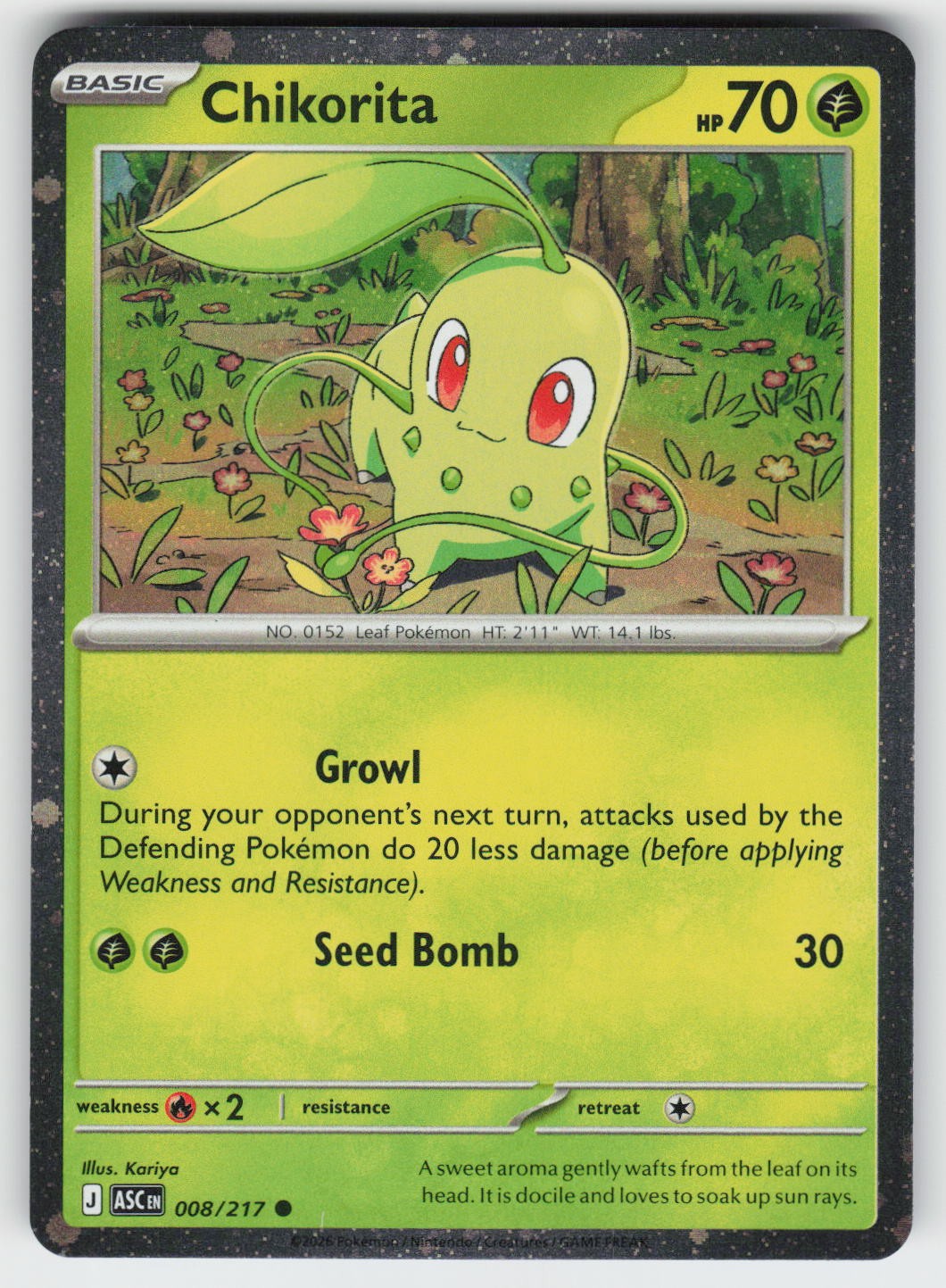 Chikorita (Cosmos Holo) Holo Common Miscellaneous Cards & Products 008/217 NM
