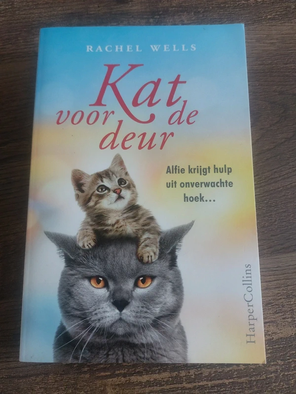 Kat voor de deur Rachel Wells