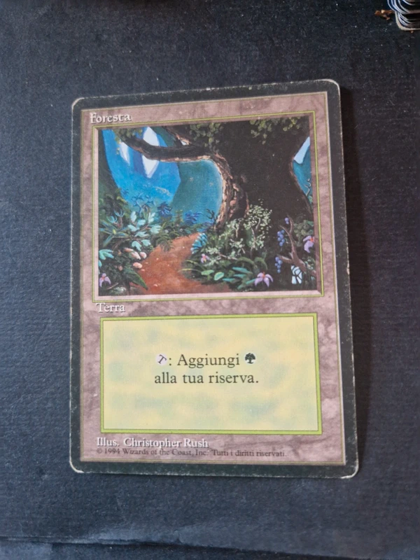 Foresta Foresta v2 - 1 edizione italiana