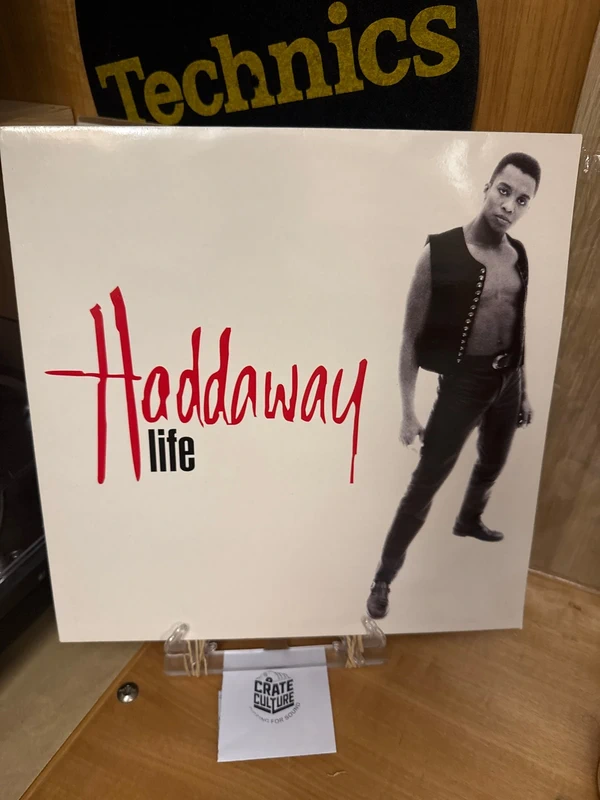 Disco in vinile 33 giri haddaway life