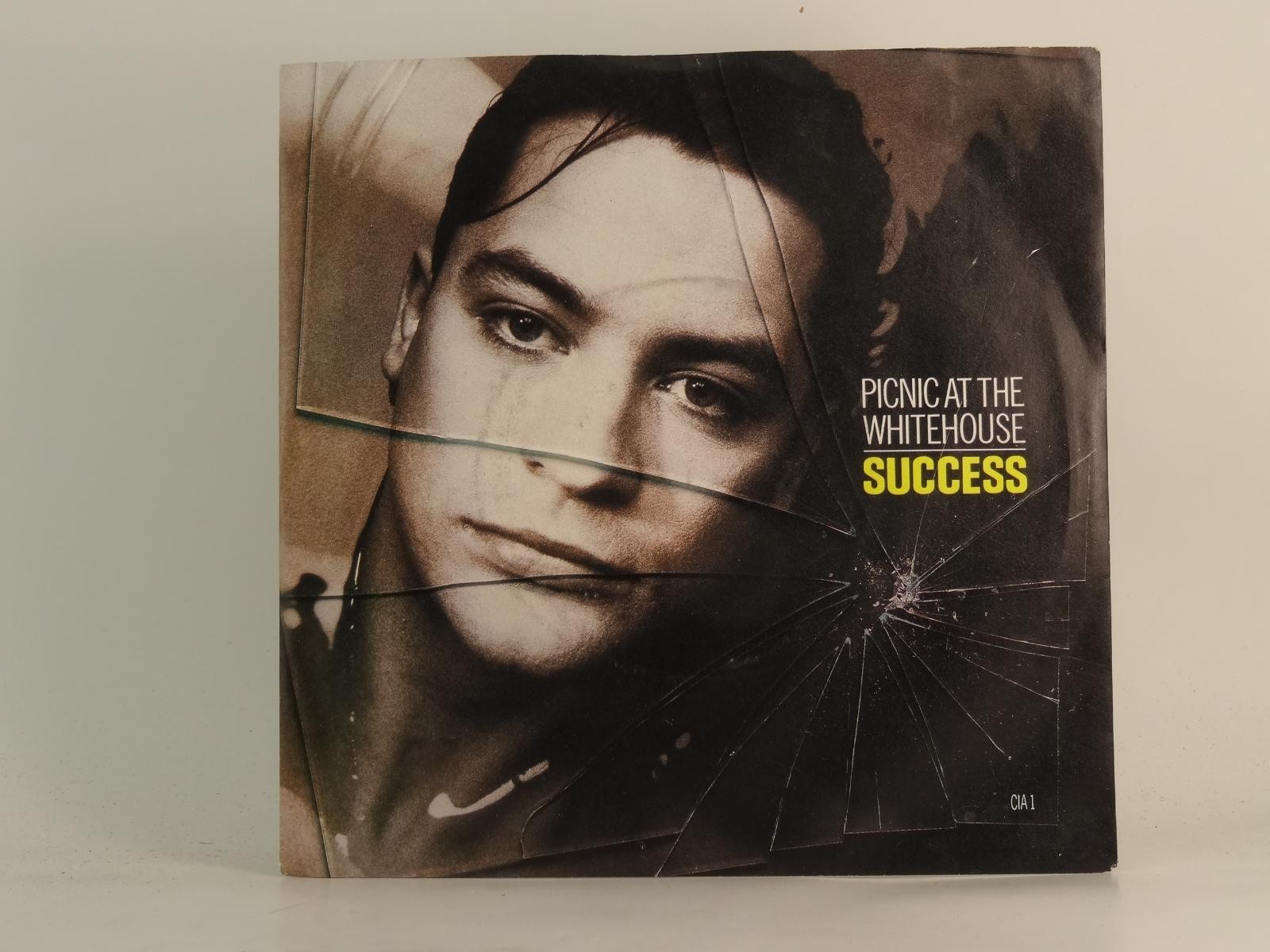 PICNIC AT THE WHITEHOUSE SUCCESS (70) 2 Track 7" Single plus Picture Sleeve CHAP