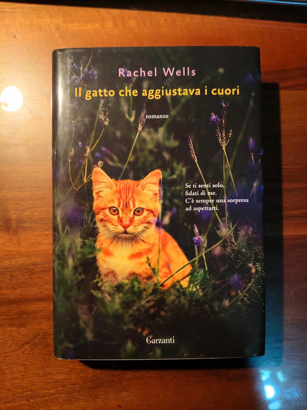 Il gatto che aggiustava i cuori - Richard Wells
