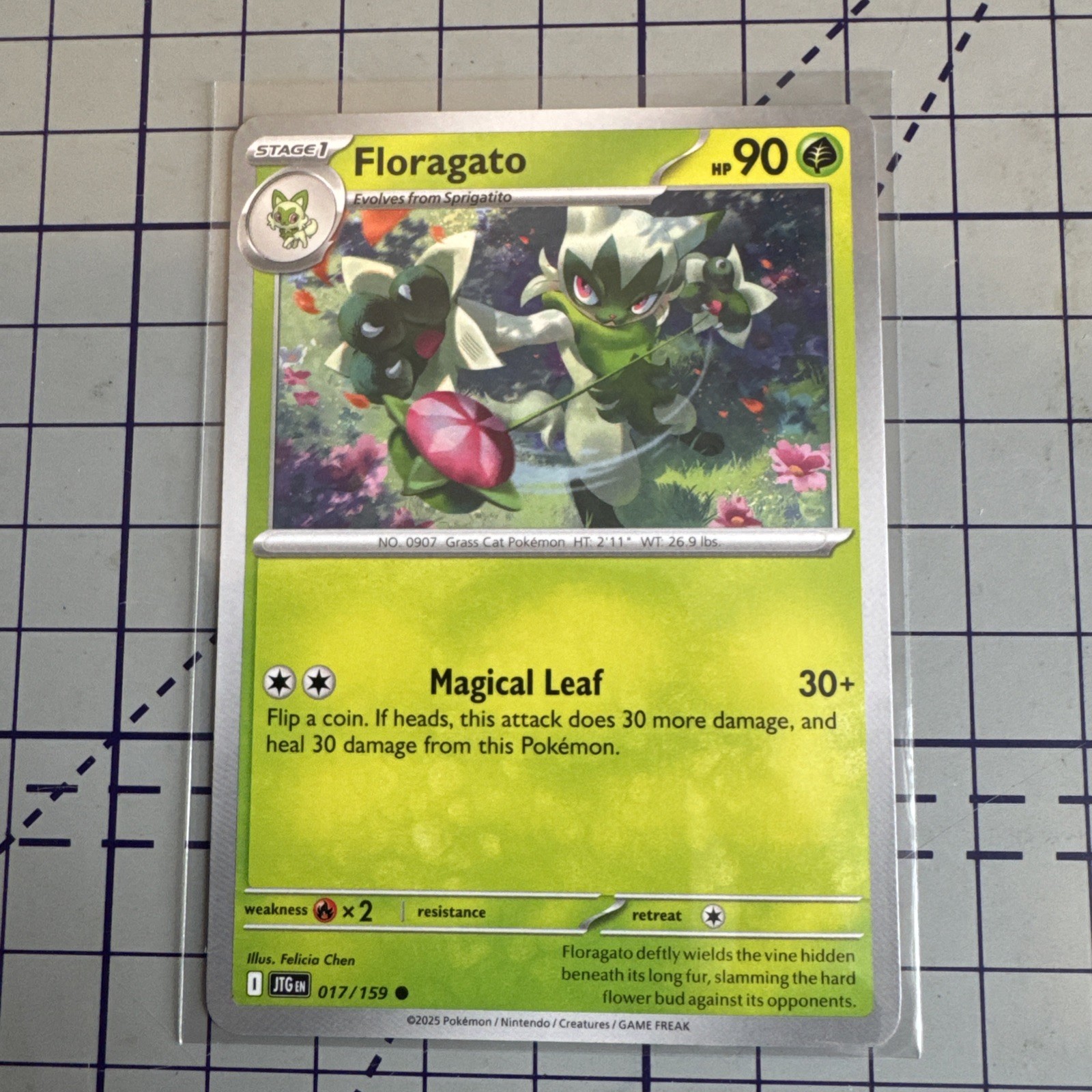 Floragato Pokemon TCG Journey Together Card 017 Common Stage 1