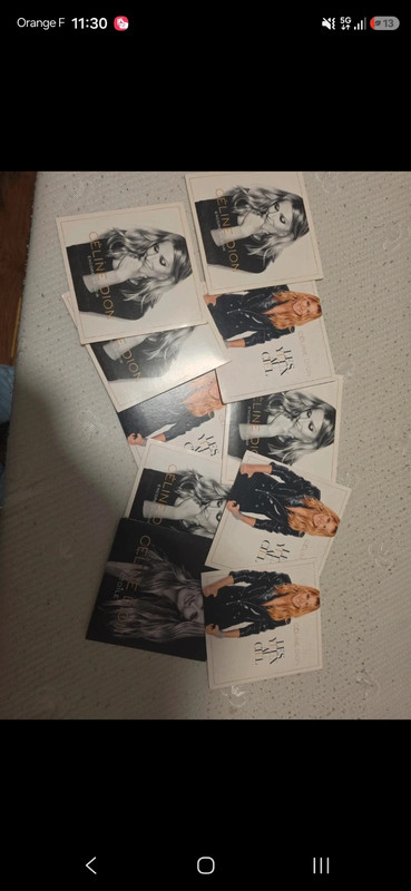 Cd deux titres promo Céline Dion rare superbe état encore un soir