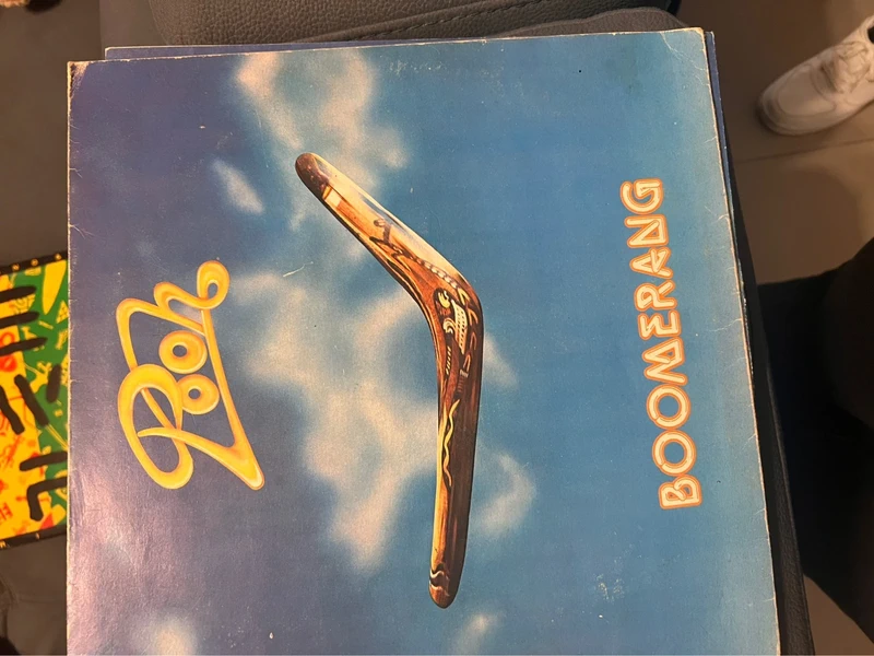Pooh boomerang