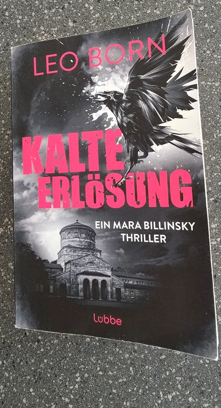 Kalte Erlösung - Taschenbuch