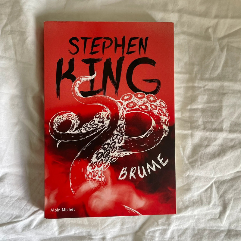 Livre brume de Stephen King