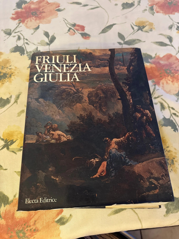 prestigioso libro d'arte e saggistica sul Friuli-Venezia Giulia pubblicato da Electa Editrice