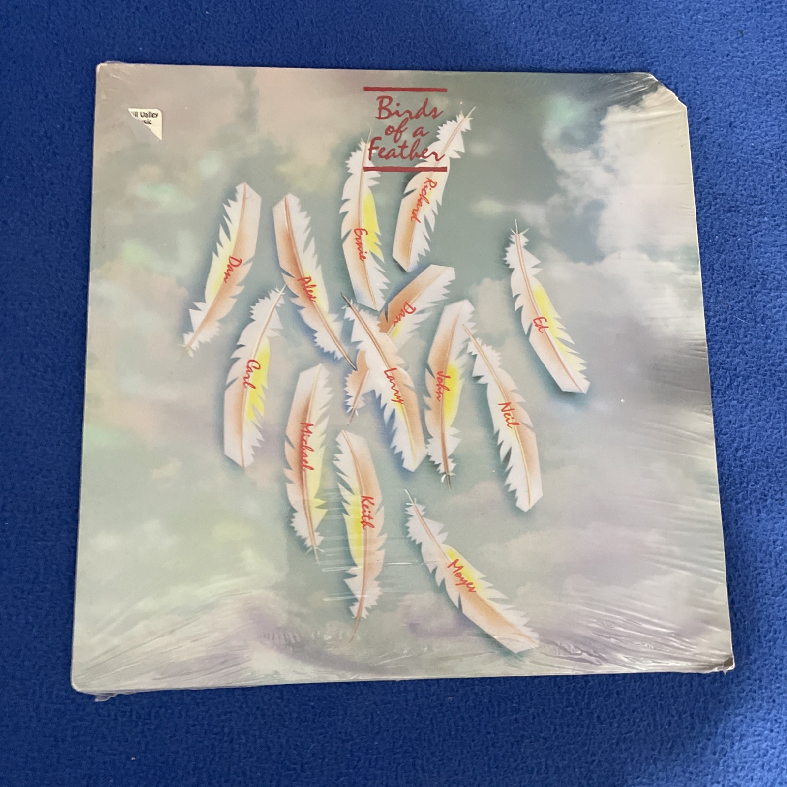 SEALED Dan Siegel LP- Birds Of A Feather - Optimism,1987 L. Carlton, C.Verheyer 