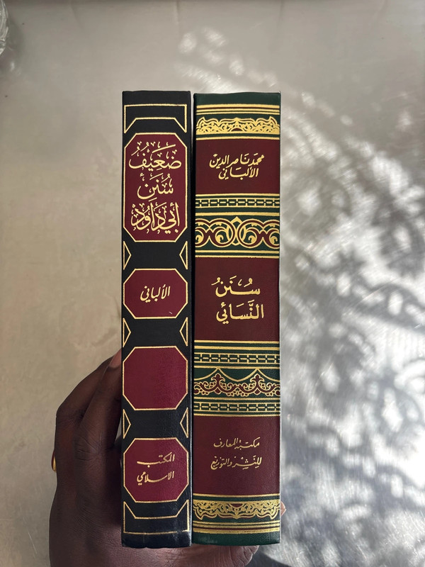 Lot de 2 livre de cheick Albany