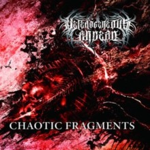 HETEROGENEOUS ANDEAD - CHAOTIC FRAGMENTS - CD - Q842z