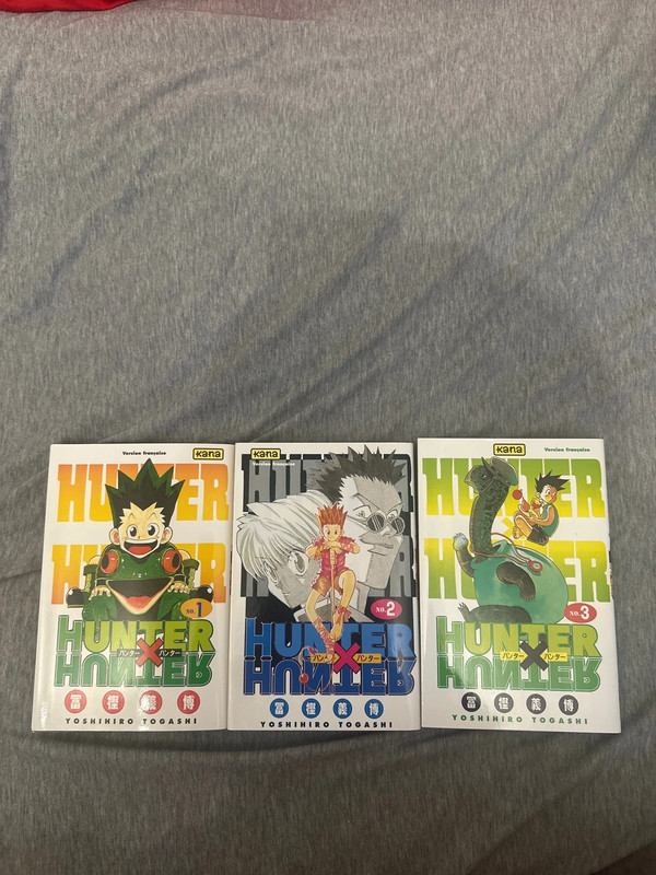 Lot Hunter x Hunter tome 1 à 3
