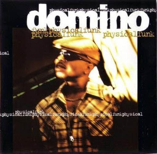Domino - Physical Funk (LP, Album) (Very Good Plus (VG+))