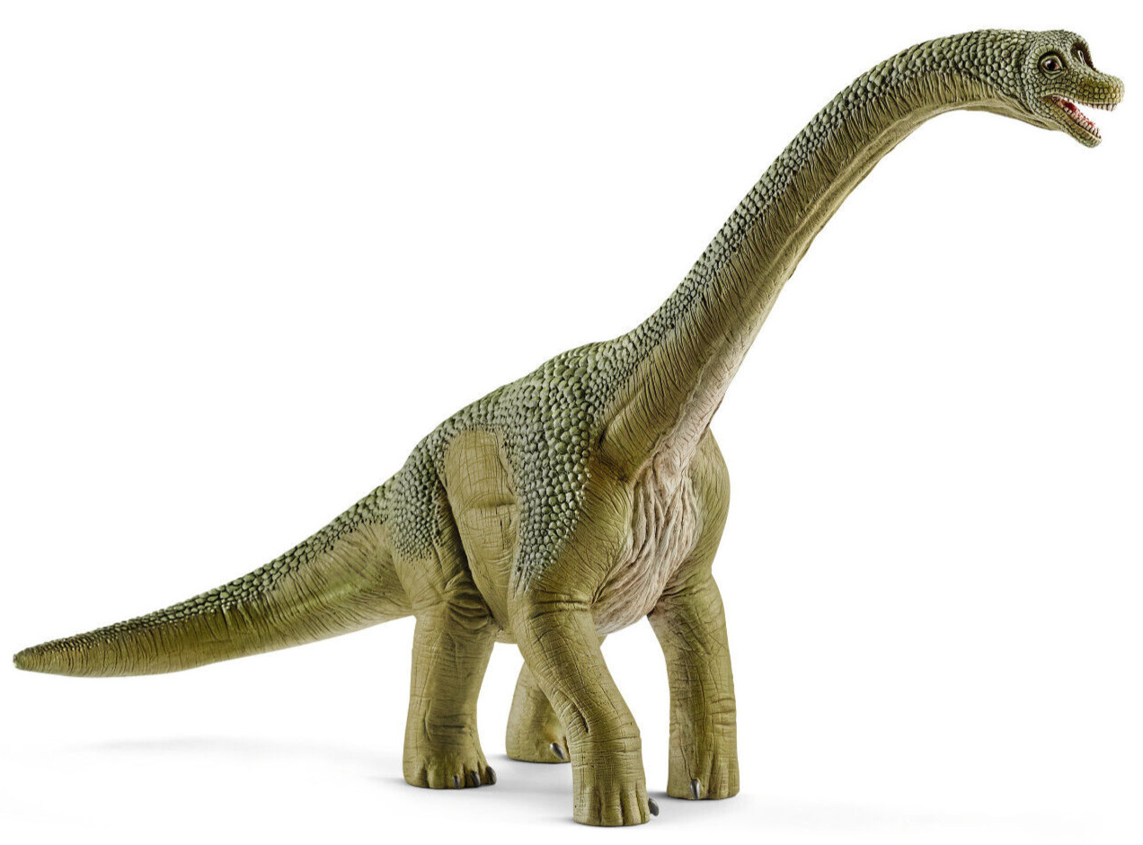 Schleich dinosauro Brachiosaurus 14581 confezione originale con bandierina tag A.S.S NUOVO