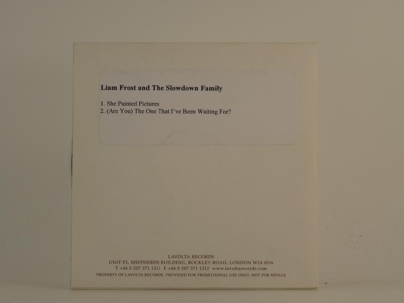 LIAM FROST AND THE SLOWDOWN FAMILY SHE PAINTED PICTURES (H1) 2 Track Promo CD Si