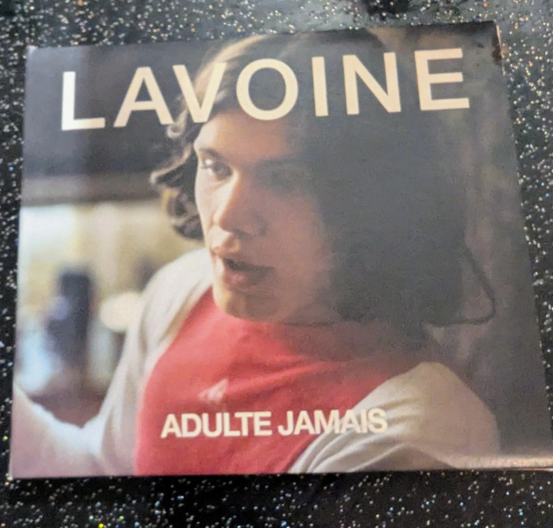 Marc Lavoine adulte jamais