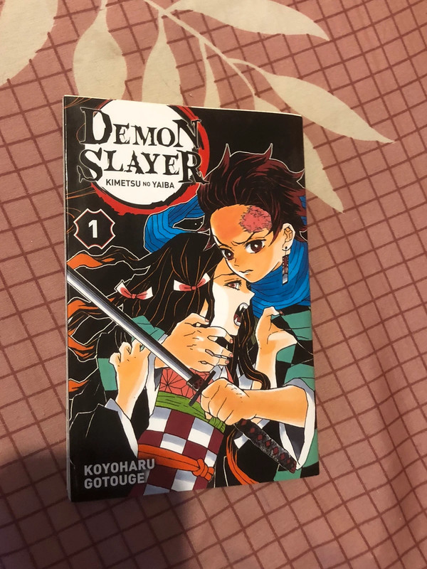 Tome 1 Demon slayer